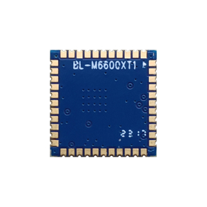 M6600XT1 1T1R 802.11b/g/N/Ax WiFi+B5.0 IoT -modul